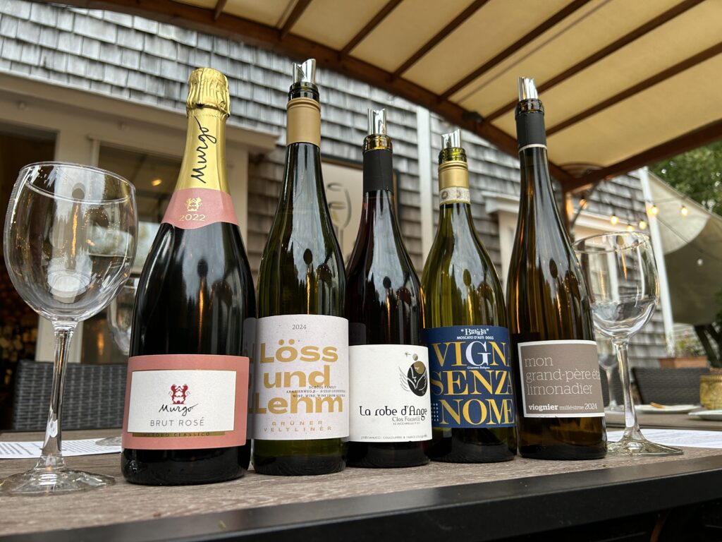 IMG_7499 (1) IMG_7499 (1)